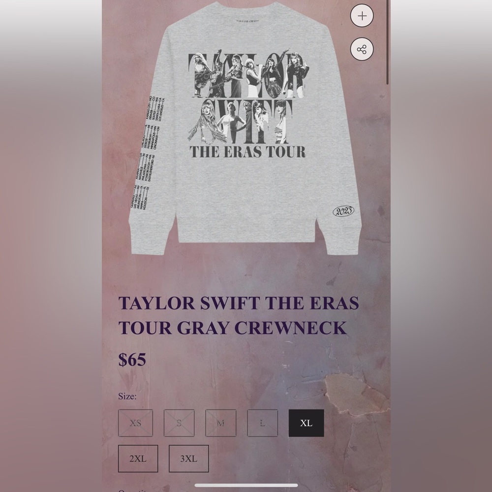 Taylor Swift eras tour crew neck - gray - XL💕🎉 never worn, brand new